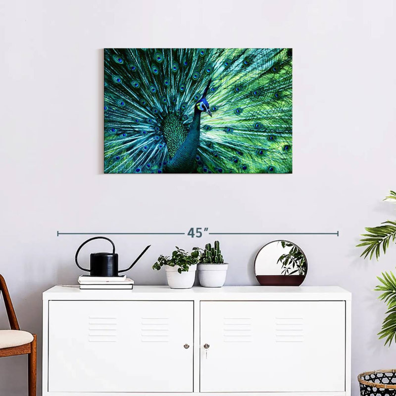 Elegant Peacock, 20" H x 30" W
