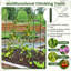 Elevated Planter