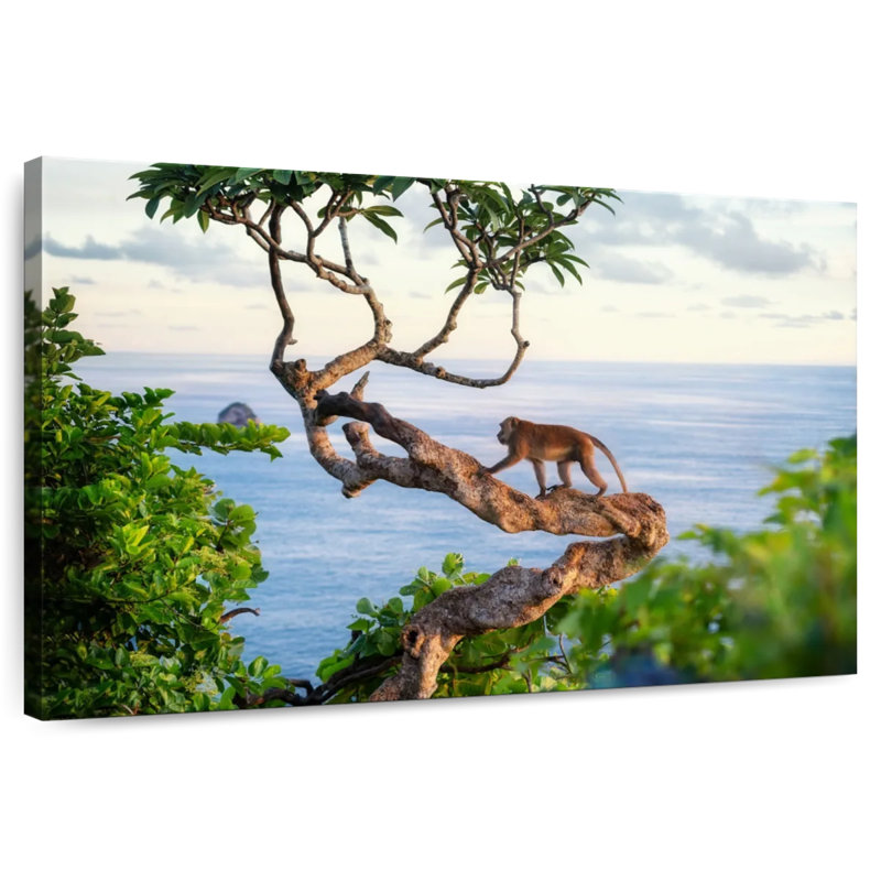 Brampt Balinese Monkey, 34" H x 51" W