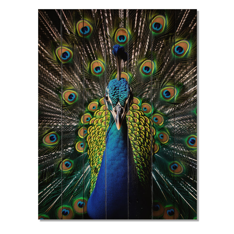 Paon bleu sarcelle rayonnant sur bois, H 32 po x l 24 po x P 0,78 po