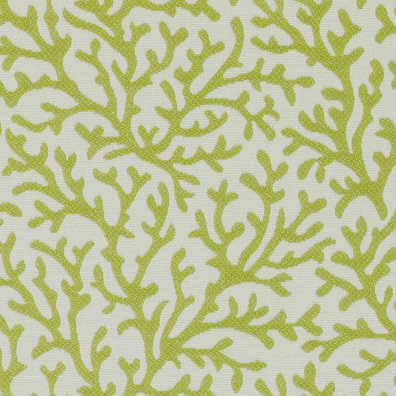 Addison All Purpose Fabric, Kiwi