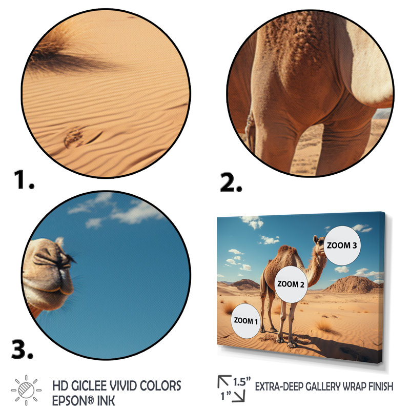 Chameau désert Wanderer I - impression, Cadre simple argenté, H 24 po x l 32 po x P 1 po