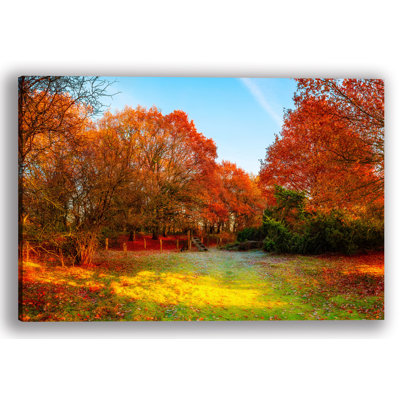 " Fall Forest "