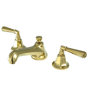 Polished Brass