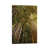 Wrapped Canvas
