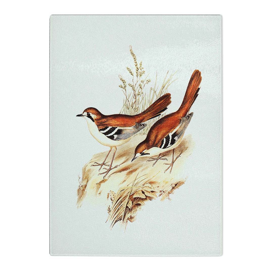 Tempered Glass Eastern Scrub Robin Birds by Elizabeth Gould Chopping Board