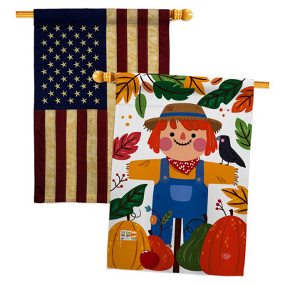 Double Sided 40'' H x 28'' W Polyester House Flag