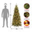 Tiffany Slim 10' Green Fir Artificial Christmas Tree with 800 Clear Lights with Stand-86924111