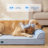 Cooling Orthopedic Dog Bed, Size L