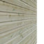 8x6w Tiger Elite Pressure-Treated Apex