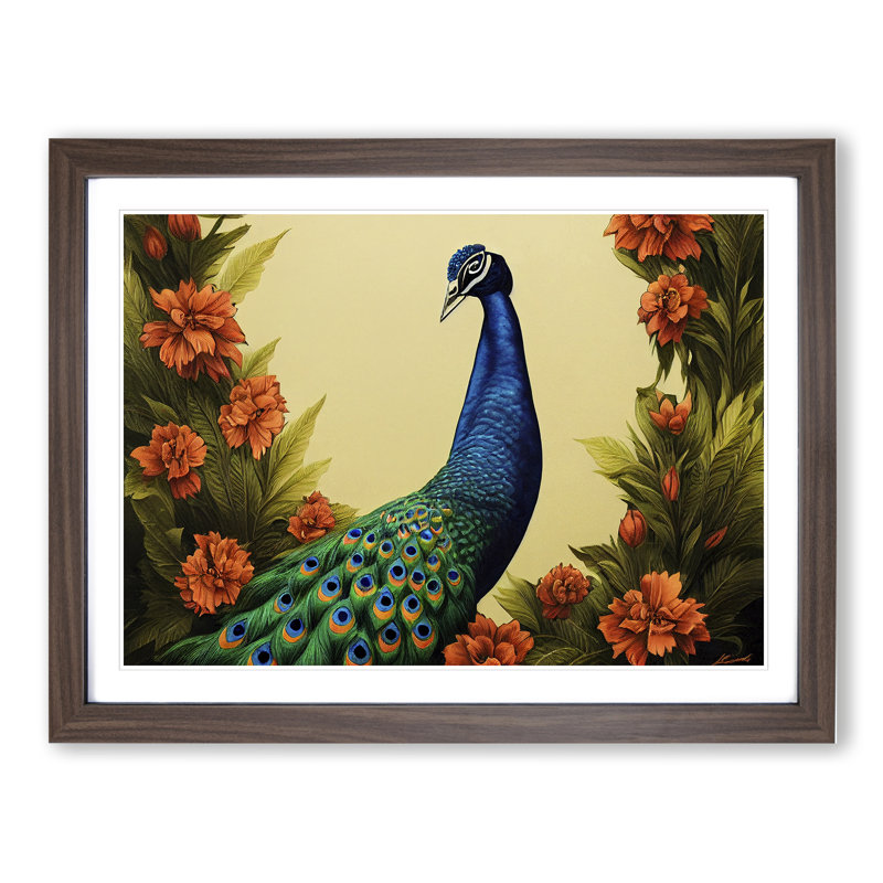 Pleasing Peacock - Single Picture Frame Print, Walnut Framed, 46cm H x 64cm W x 2cm D