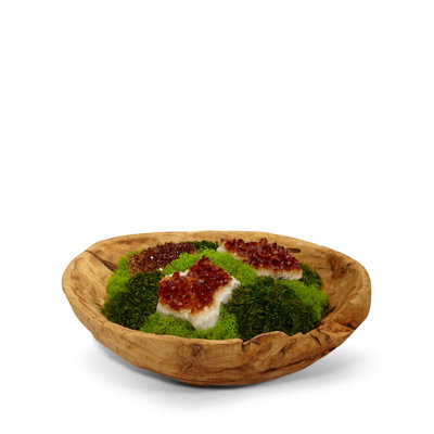 8'' Moss Plant in Wood Planter
