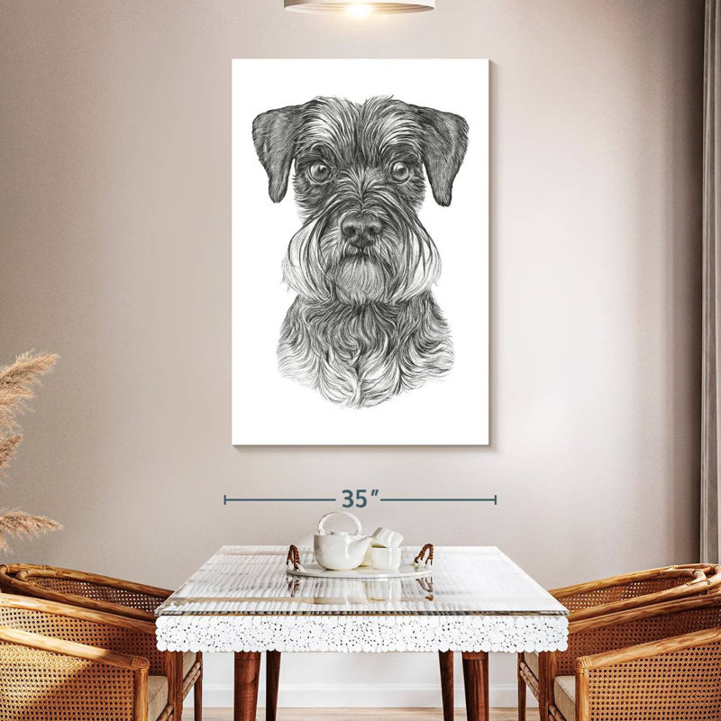 Schnauzer Brampt, H 51 po x l 34 po