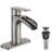 Brushed Nickel/Drain is out of stock