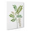 Acacia Tree Flowers - Wrapped Canvas-55368624