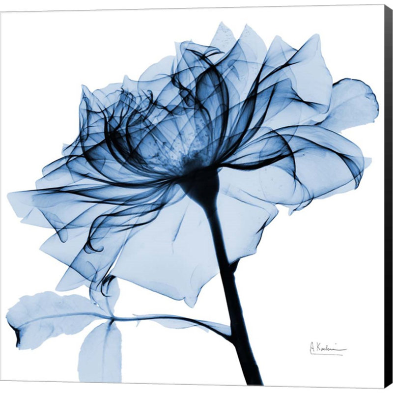 «Indigo Rose 2» par Albert Koetsier - impression sur toile tendue