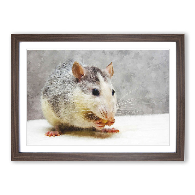 Rat - Picture Frame Painting, 36cm H x 48cm W x 2cm D, Walnut Framed