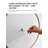 Mirrors-1537558030