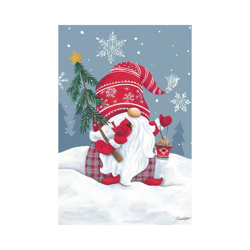 Snowy Gnome With Cardinal by Diane Kater - Print on Canvas, Wrapped Canvas, 20.32 cm H x 30.48 cm W