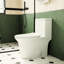 Toilette allongée en céramique 1,1 / 1,6, 15,55 po de hauteur, blanc, siège à fermeture en douceur, et une
