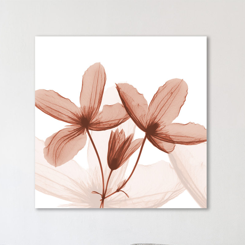 Journey Clematis - Wrapped Canvas Print, 30cm H x 30cm W