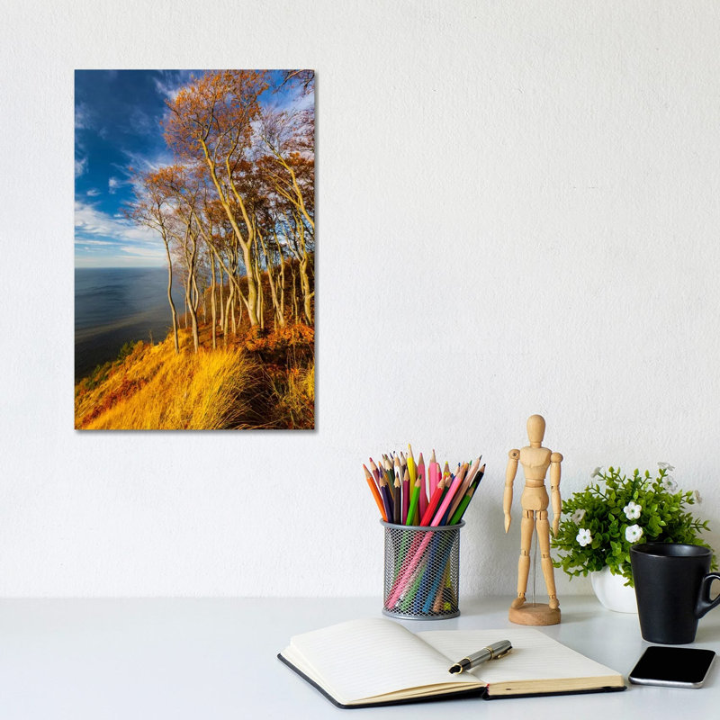 Poland, Baltic Sea, Wolin National Park by Mikolaj Gospodarek - Wrapped Canvas Print, 20.32 cm H x 30.48 cm W