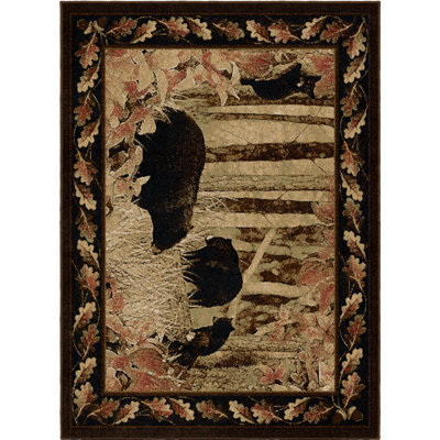 Frazee Southwestern Indoor Rug