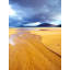Donegal Beach Print by Scott Wurzel-65807843-65807844
