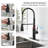 Home Adores Pull Down Kitchen Faucet-72111165
