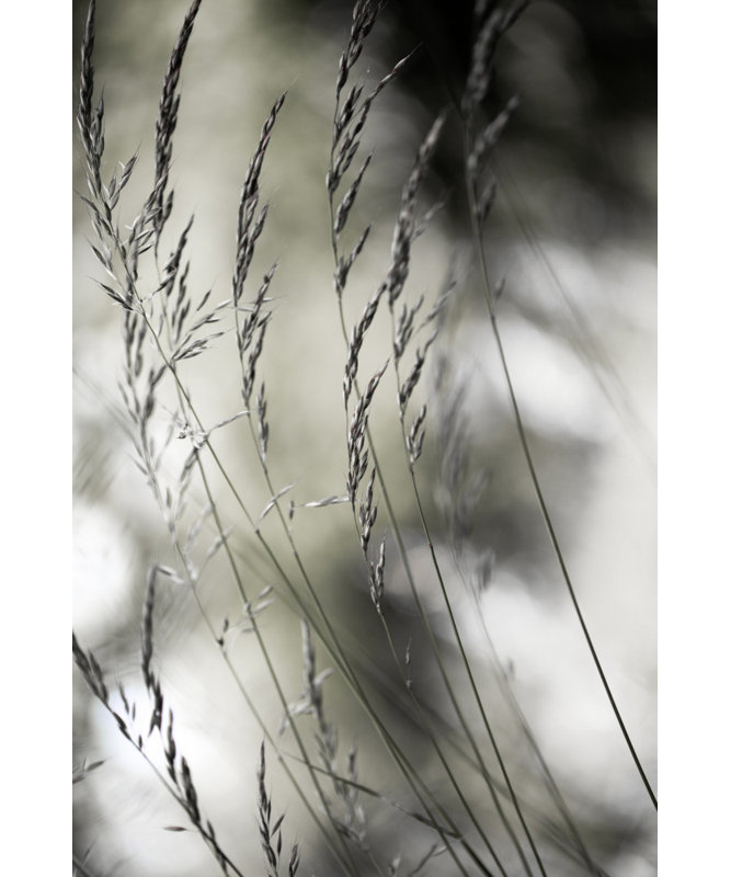 Wrapped Canvas Print, 76.2 cm H x 50.8 cm W