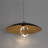 1 - Light LED Pendant