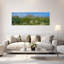 Ocotillo Plants In A Park Big Bend National Park Texas USA by Terry Thompson - Wrapped Canvas Panoramic Print-180793941