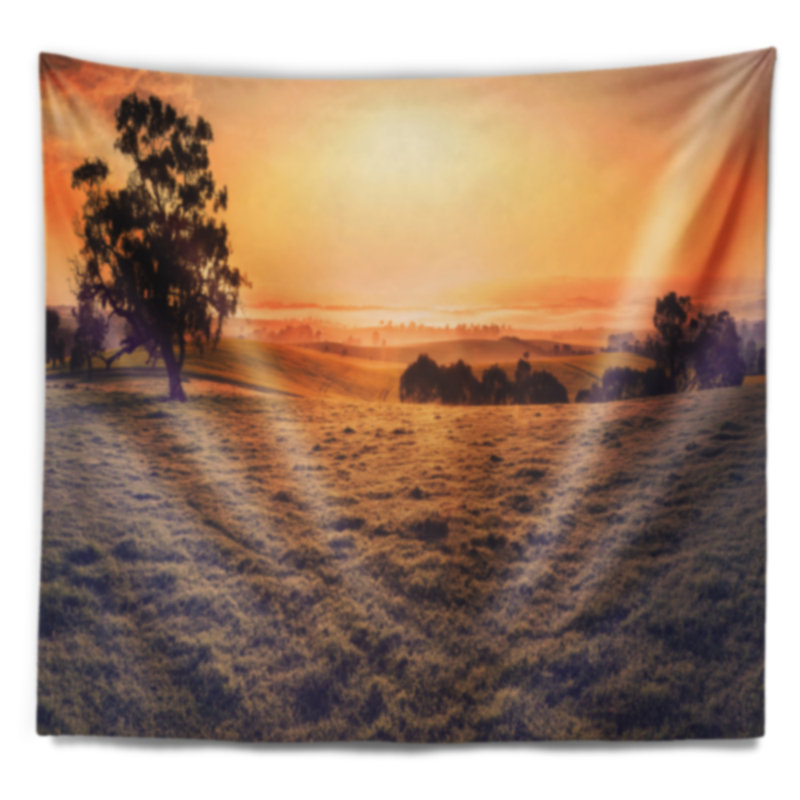 Tapisserie panorama en polyester de rêves avec accessoires suspendus inclus, H 32 po x l 39 po