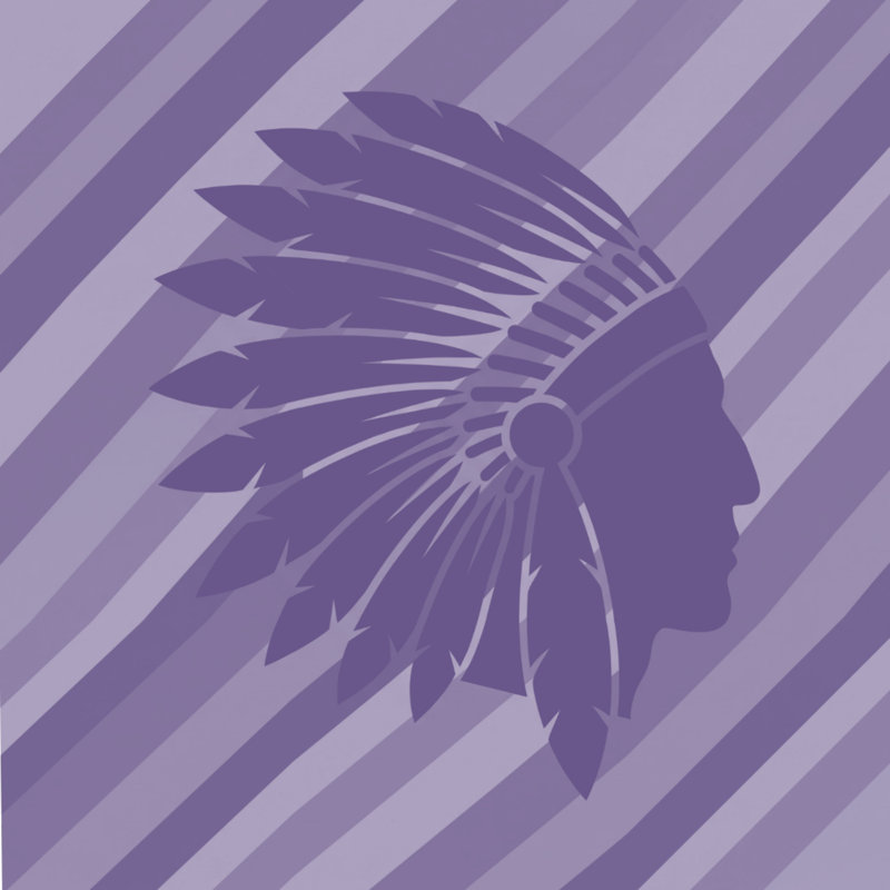 Rideaux de douche Native American, L 70 po x H 84 po, Mauve moyen / mauve clair