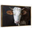 Visage de vache sérieux-75007730-75007743
