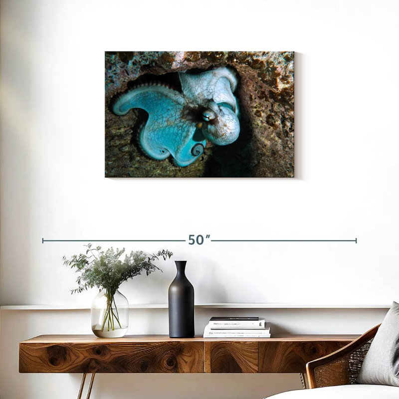 Brampt Wild Octopus In Grand Cayman Island, 20" H x 30" W