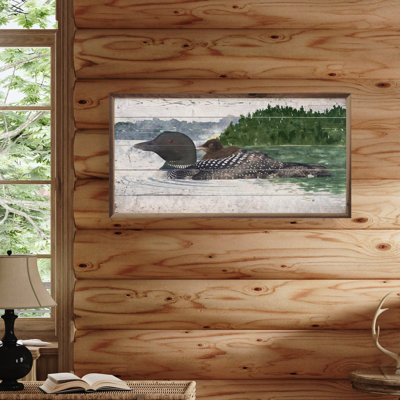 Loon And Baby On Water