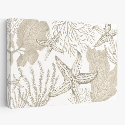 Coastal Coastal Reef XI
