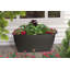40" Rectangle Plastic Patio Planter Box-540380198