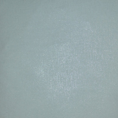 Tissu scintillant