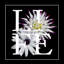 « floral graphic ii », impression sur toile-29482772-73576117-73576116