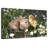 Cute Animals With Chamomile-107703163