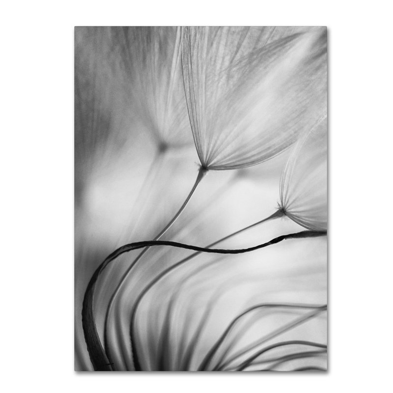 « lean on me », reproduction d’impression sur toile tendue, H 24 po x l 18 po