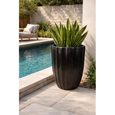 Pot Planter
