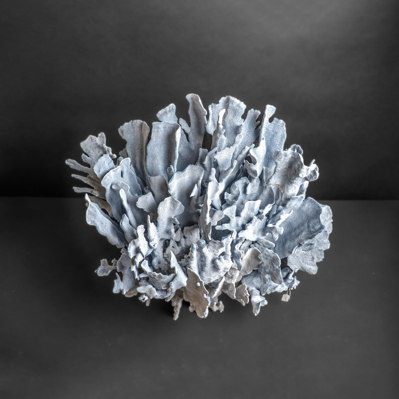Genuine Blue Ridge Coral (18", 20.5 Lbs)