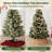 Rattan Tree Collar-137655576