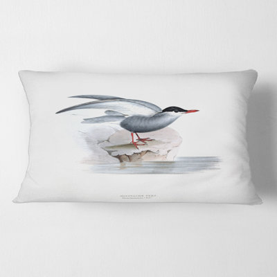 Vintage Bird Of Europe I - Traditional Printed Pillow