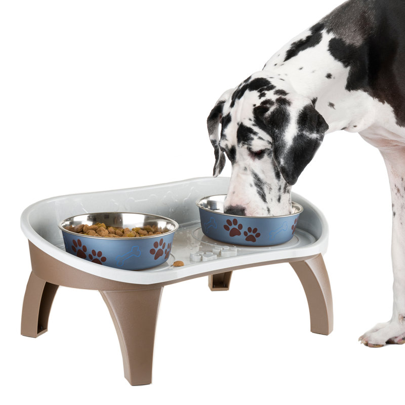 Plateau pour animaux surélevé avec protection anti-éclaboussures et pieds antidérapants, support pour bol surélevé pour chien 21 po x 11 po x 8,5 po avec deux bols en acier inoxydable pour la nourriture et l'eau