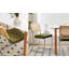 Modern Dining Chairs Set Of 4 With Chrome Cantilever Frame And Rattan Backrest