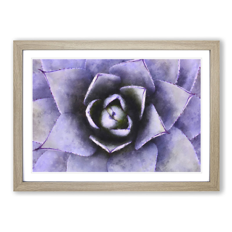 Lilac Succulent Plant - Picture Frame Graphic Art Print, 24cm H x 33cm W x 2cm D, Oak Framed